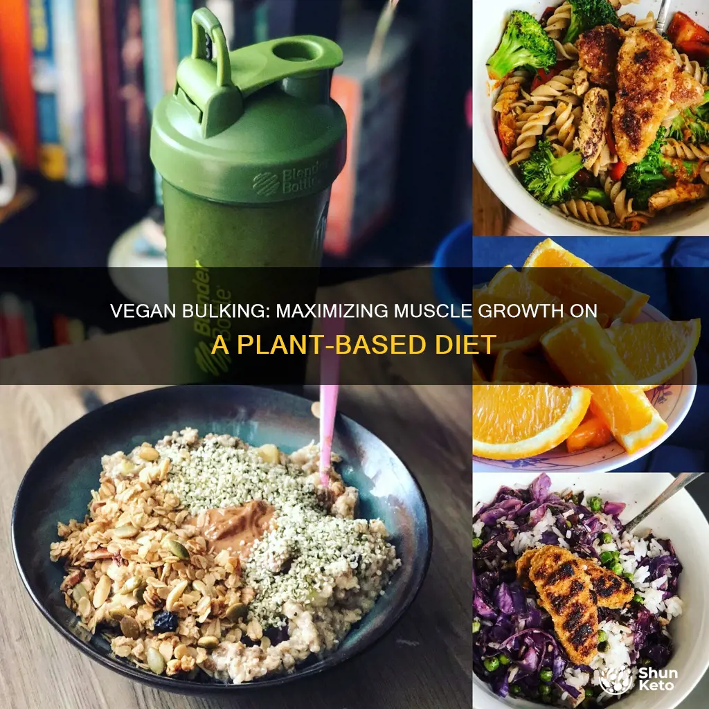 how to bulk on a vegan diet