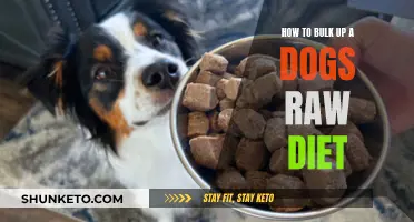 Bulking Up Your Dog's Raw Diet: What You Need to Know