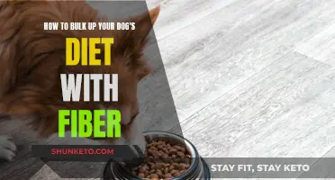 Boosting Your Dog's Diet: Adding Fiber for Better Health