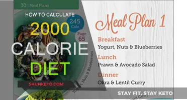 Calorie Counting: A Simple Guide to Your 2000 Calorie Diet