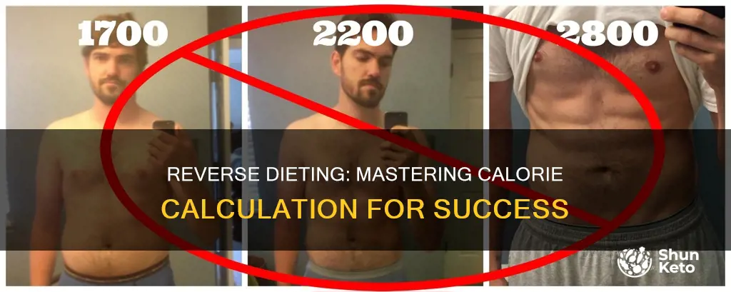 how to calculate calories for reverse diet