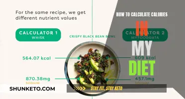 Master Your Diet: A Guide to Calorie Calculation