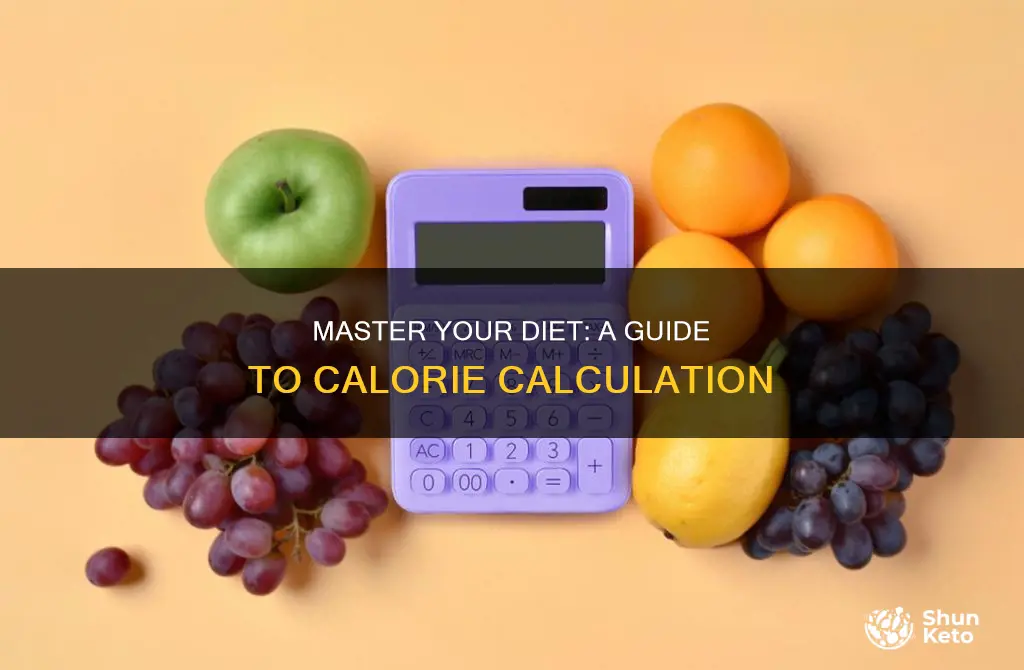 how to calculate calories in my diet