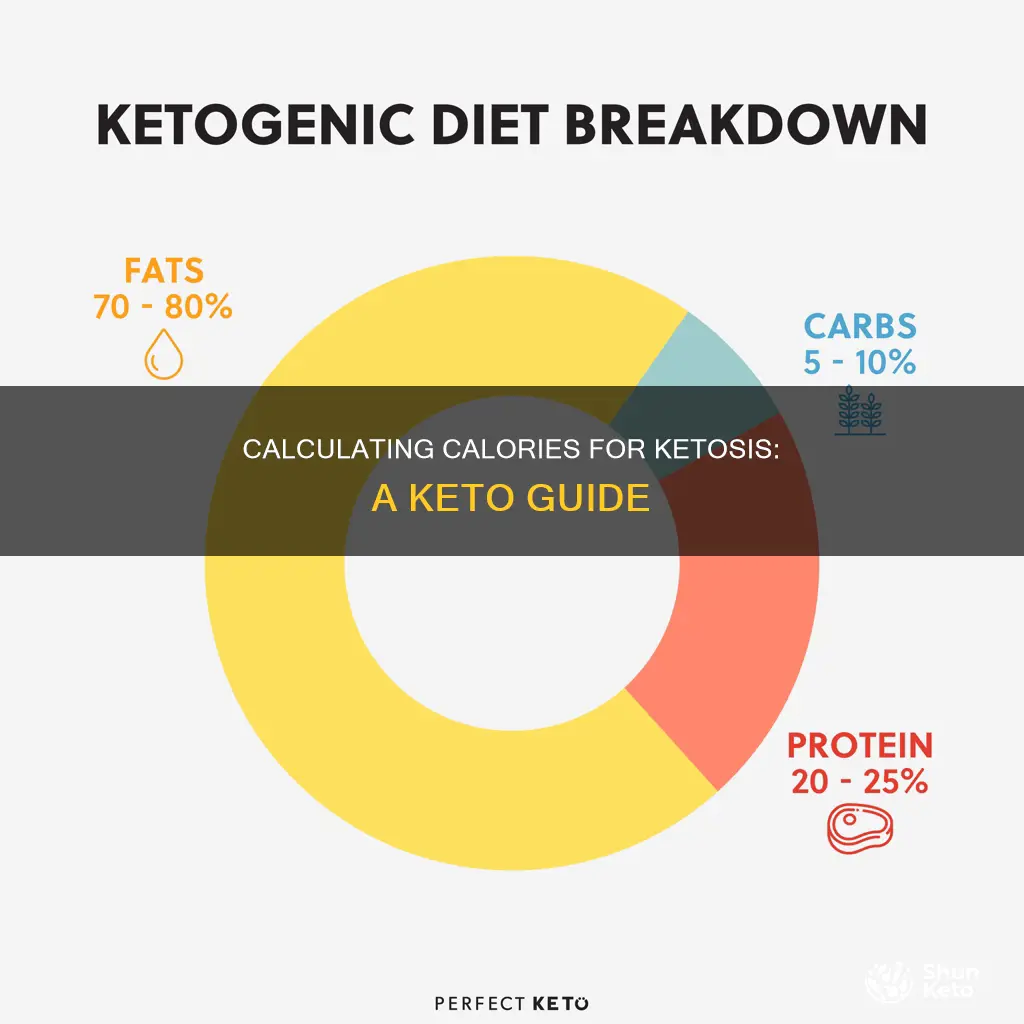 how to calculate calories on keto to establish ketosis