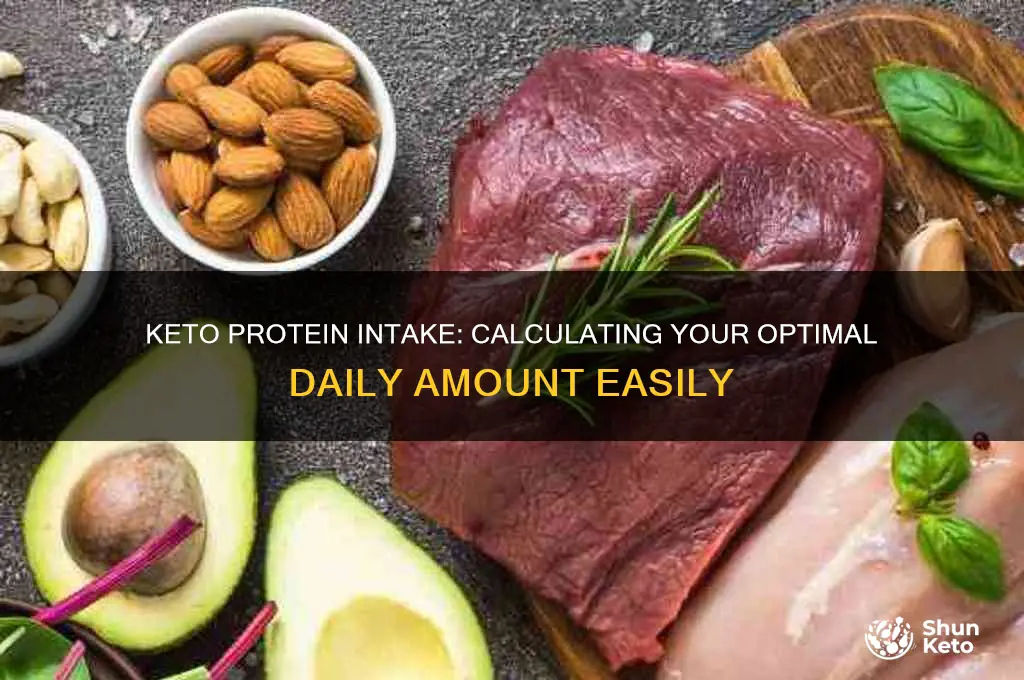 how to calculate how much protein to eat on keto