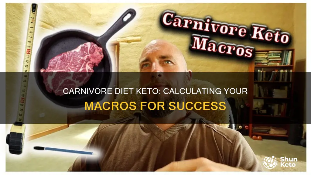 how to calculate keto macros carnivore