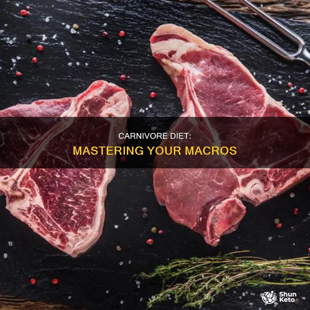 how to calculate macros for carnivore diet