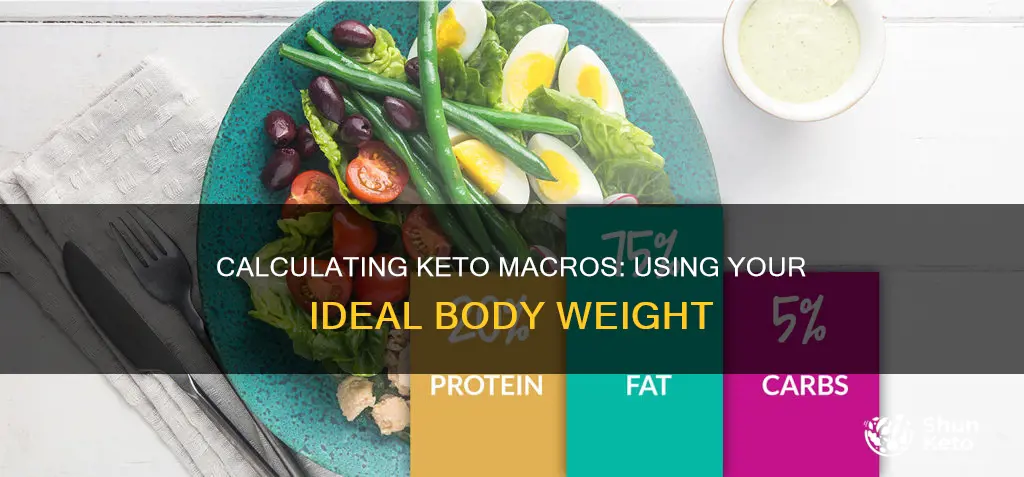 how to calculate macros keto using idea body weight