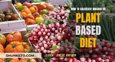 Plant-Based Diet: Mastering Your Macros