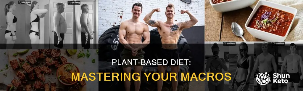 how to calculate macros on plant based diet