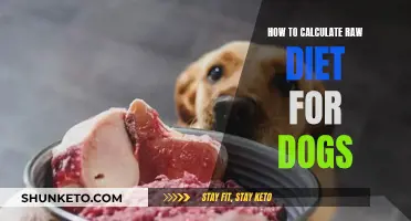 Calculating Raw Dog Food Diets: A Guide for Owners