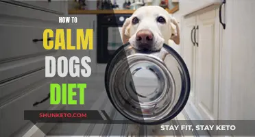 Calm Your Dog: The Right Diet for Relaxed Pets