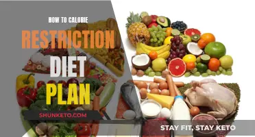 Calorie Restriction: A Comprehensive Diet Plan Guide