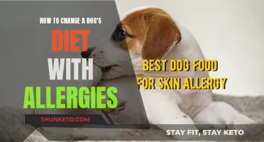 Treating Dog Allergies: Changing Your Pet's Diet for the Better