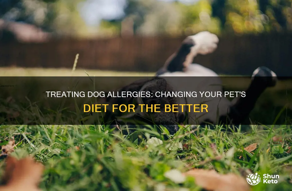 how to change a dog