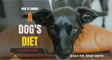 Transitioning Your Dog's Diet: A Step-by-Step Guide