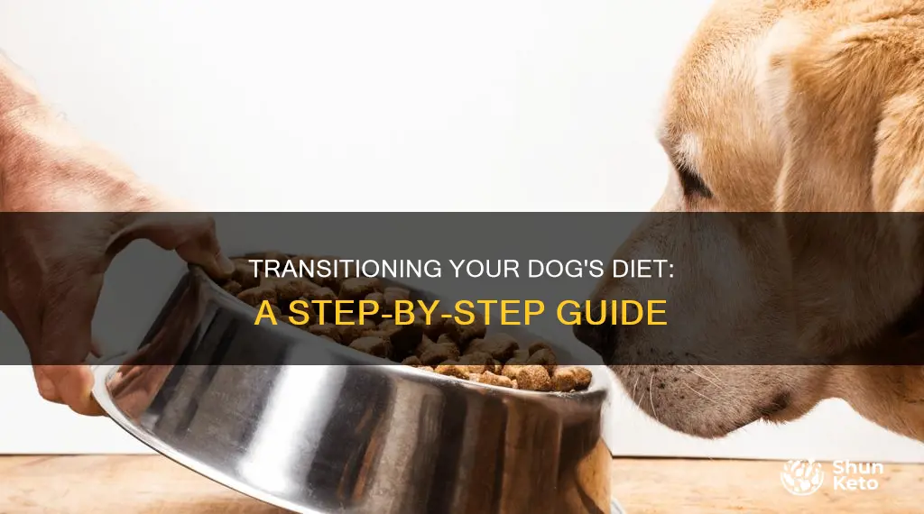 how to change a dog