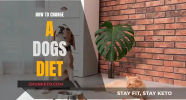 Transitioning Your Dog's Diet: A Step-by-Step Guide