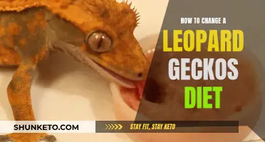 Leopard Gecko Diet: Making the Switch