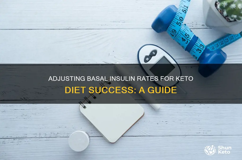 how to change basel insulin rate for keto diet