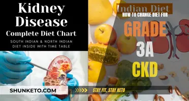 Adapting Your Diet: Managing Grade 3A CKD