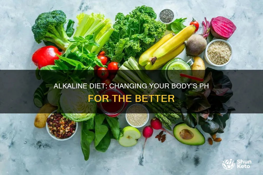 how to change diet from acid to alkaline