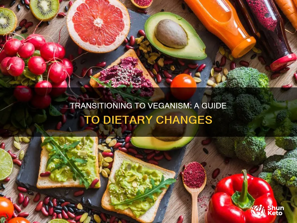 how to change diet to vegan