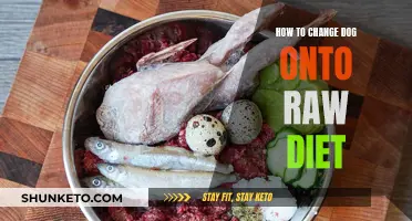 Transitioning Your Dog to a Raw Diet: A Guide