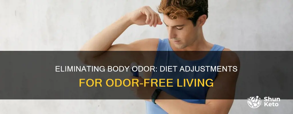how to change my diet to elimate body odeor