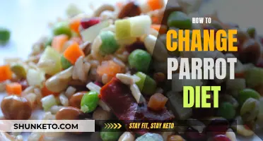 Transitioning Your Parrot's Diet: A Step-by-Step Guide