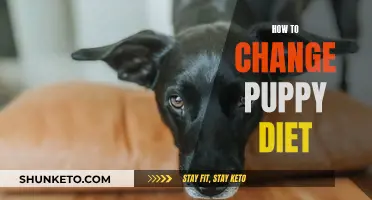 Transitioning Your Puppy's Diet: A Step-by-Step Guide