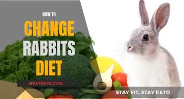 Transitioning Your Rabbit's Diet: A Guide to Healthy Eating