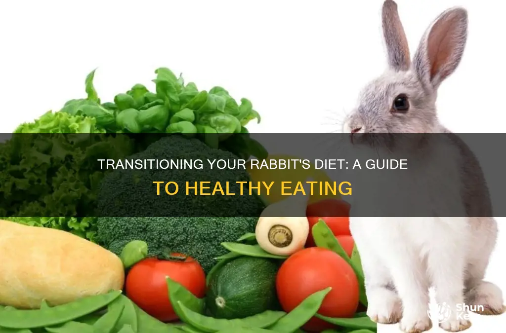 how to change rabbits diet
