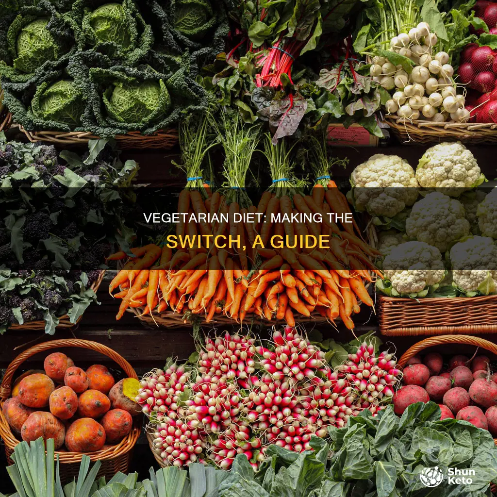how to change to a vegetarian diet