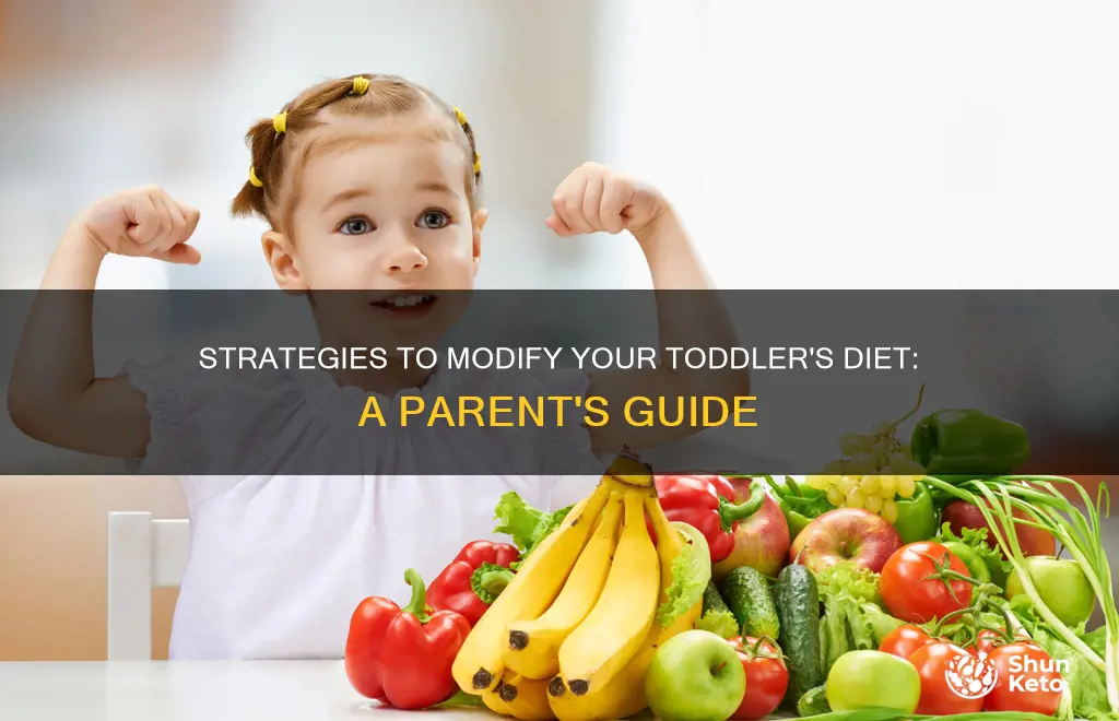 how to change toddler diet