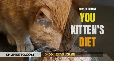Transitioning Your Kitten's Diet: A Step-by-Step Guide