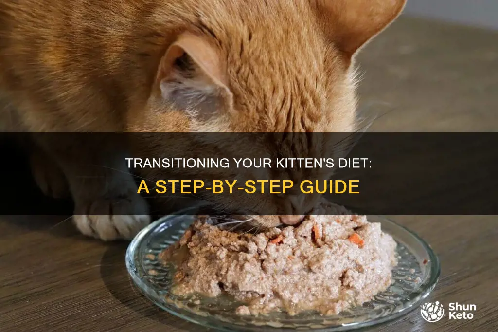 how to change you kitten