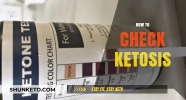 Effective Methods to Test and Confirm Ketosis Levels Easily
