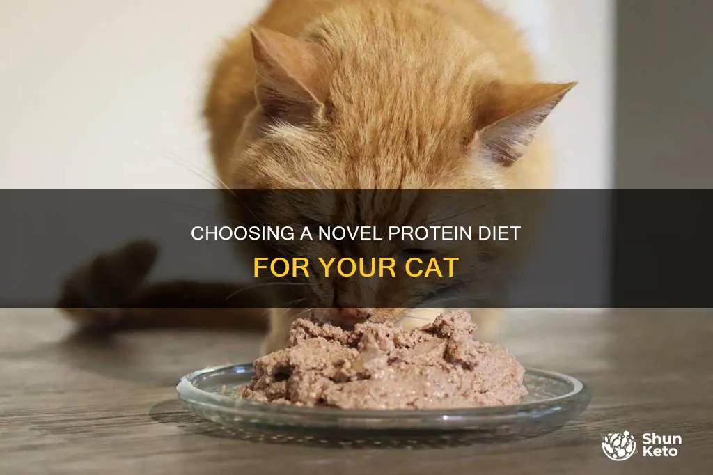 how to choose a novel protein diet for cat