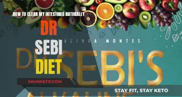 Dr. Sebi's Natural Intestinal Cleanse: A Guide