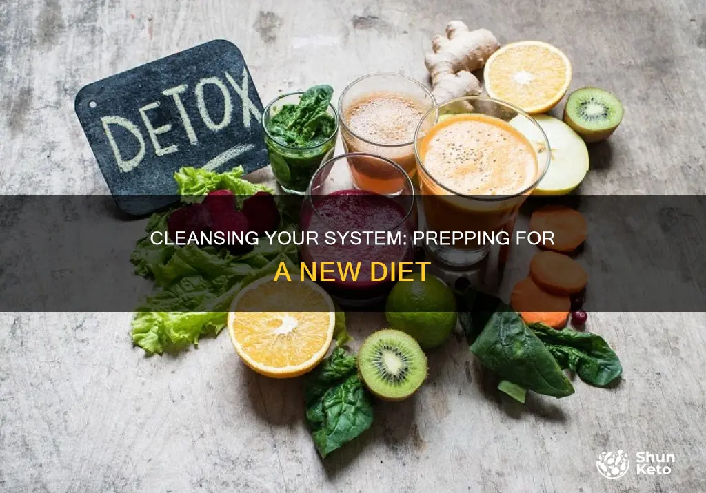 how to cleanse your system before starting a diet