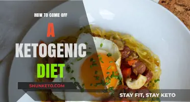 Transitioning Off Keto: A Guide to Exiting Ketosis