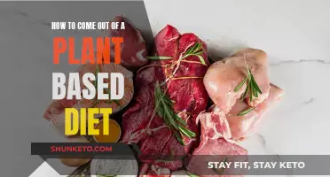 Transitioning Out of a Plant-Based Diet: Steps to Take