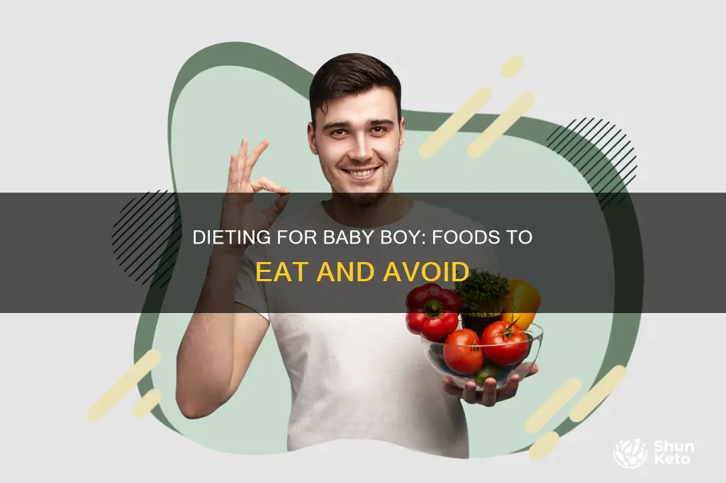 how to conceive a baby boy diet plan