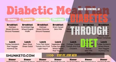 Managing Type 1 Diabetes: Diet Control Strategies