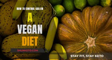 Vegan Diet Gas Control: Tips for a Comfortable Gut