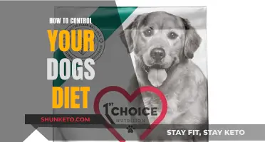 Managing Your Dog's Diet: Tips for Owners