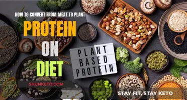 Switching to Plant Protein: A Guide for Meat Eaters