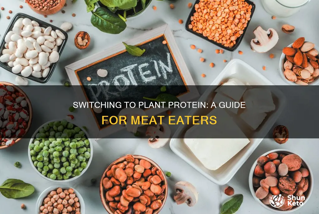 how to convert from meat to plant protein on diet