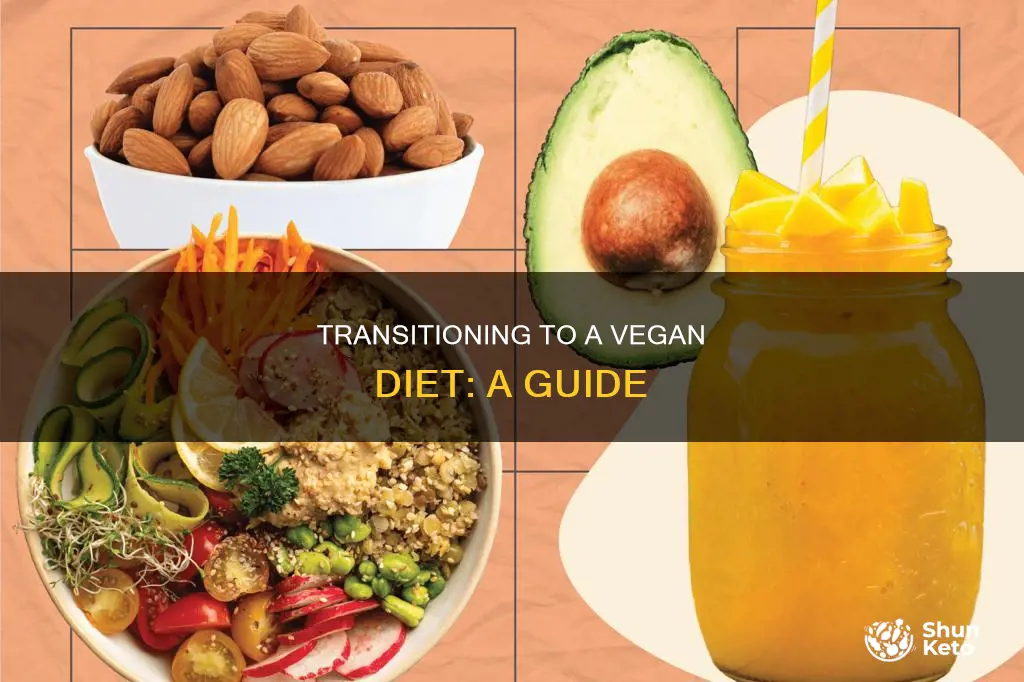 how to convert to vegan diet